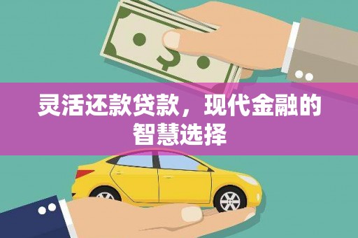 元阳灵活还款贷款，现代金融的智慧选择