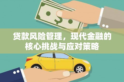 元阳贷款风险管理，现代金融的核心挑战与应对策略