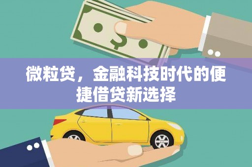 元阳微粒贷，金融科技时代的便捷借贷新选择