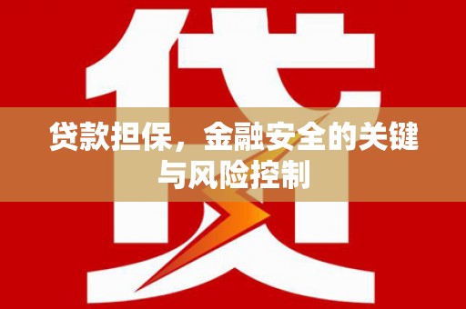 元阳贷款担保，金融安全的关键与风险控制