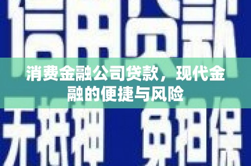 元阳消费金融公司贷款，现代金融的便捷与风险