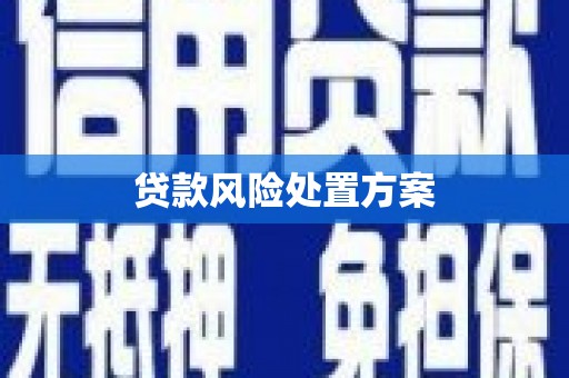 元阳贷款风险处置方案